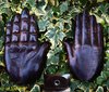 HAND OF ROMAN BANNER IN WAXED WOOD (MANUS FOR SIGNUM)