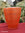 GALLO-ROMAN CERAMIC - CUP IN TERRA SIGILATTA WITH GUILLOCHED DECORATION