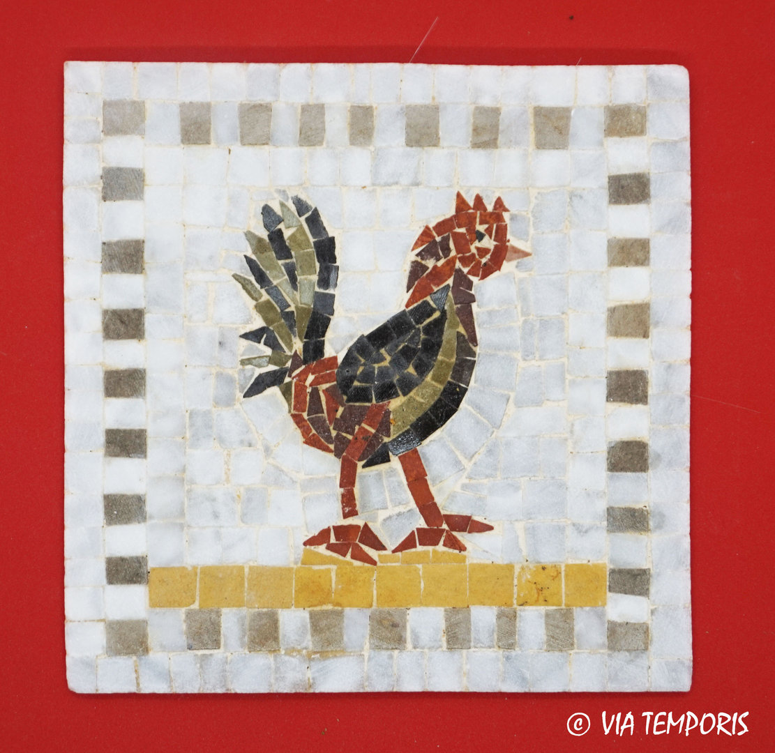 ROMAN MOSAIC - SMALL MEDALLION WITH A ROOSTER - SQUARE SHAPE