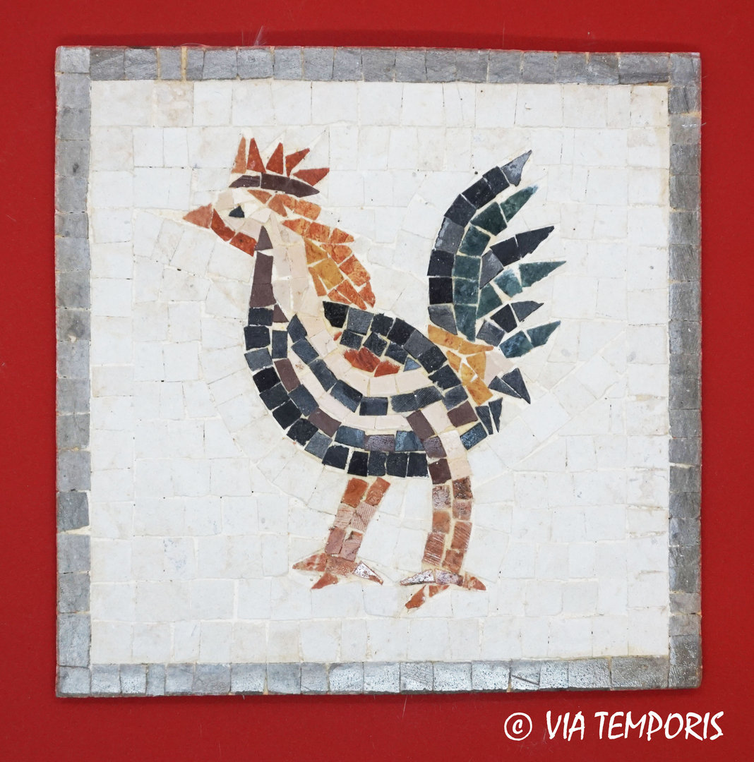 ROMAN MOSAIC - SMALL MEDALLION WITH A ROOSTER WALKNIG TO LEFT
