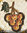 ROMAN MOSAIC - SMALL MEDALLION WITH BUNCH OF GRAPES - ROUND SHAPE