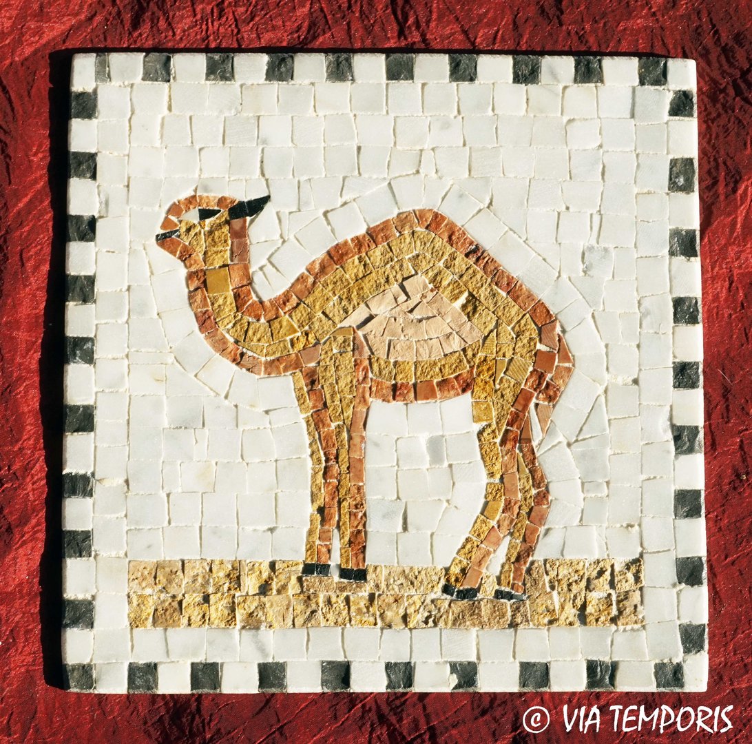 ROMAN MOSAIC - MEDALLION WITH A DROMEDARY WALKING TO LEFT - SQUARE SHAPE