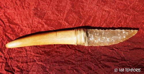 PREHISTORY - FLINT KNIFE WITH HORN HANDLE 13