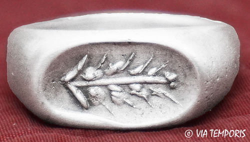 ANCIENT JEWERLY - ROMAN SILVER RING WITH OLIVE BRANCH