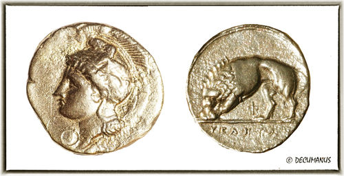 DITRADRACHM OF VELIA - LUCANIA (334-300 BC) - REPRODUCTION OF ANCIENT GREECE
