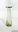 GALLO-ROMAN GLASSWARE - SMALL BALSAMARIUM BOTTLE - GREEN COLOR - HEIGHT 8,5 CM
